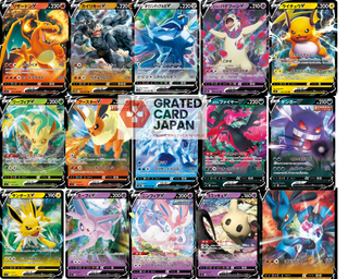 Pokemon Mystery Pack | Japanese Rarerity RR V 10 cards Random
